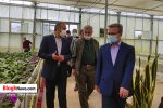 تصاویر/ بازدید معاون هماهنگی و اقتصادی معاون اول رئیس جمهور از پروژه بزرگ گل ارکیده در نوشهر